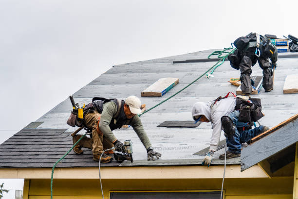 Professional Emergency Roof Repair technician working in Belmont, NH